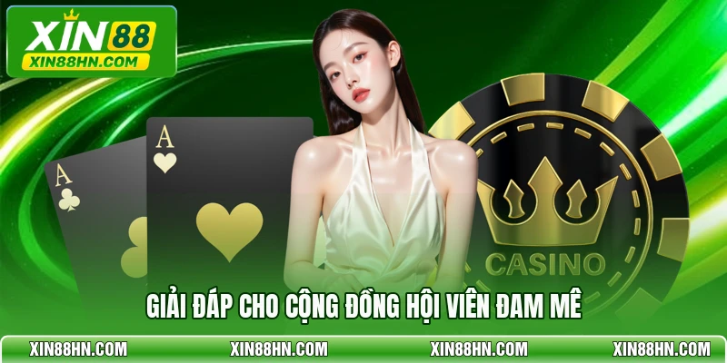 Giải đáp cho cộng đồng hội viên đam mê